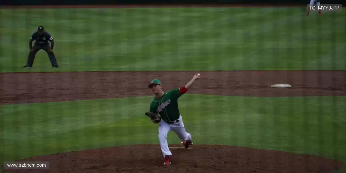 高清直播,实时互动,身临其境!🎯