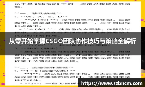 从零开始掌握CSGO团队协作技巧与策略全解析