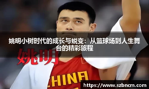XK星空官网