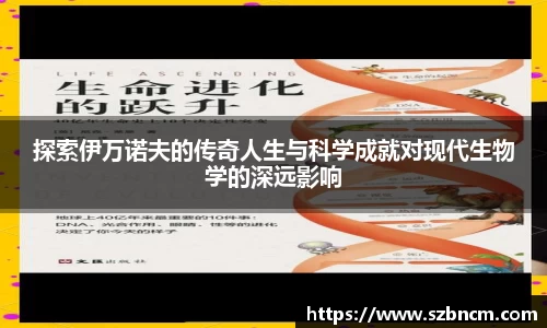XK体育